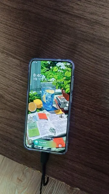 리뷰 사진 1